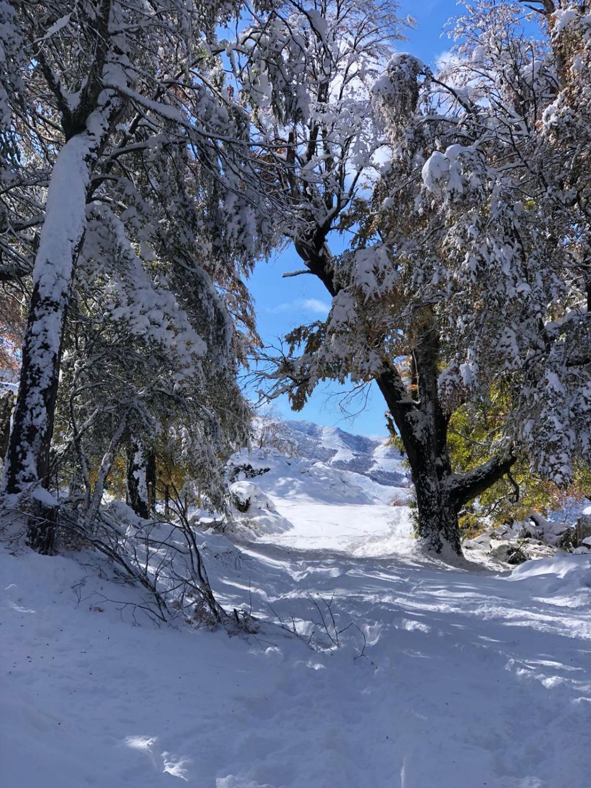 Cabana El Maqui San Martín de los Andes Esterno foto